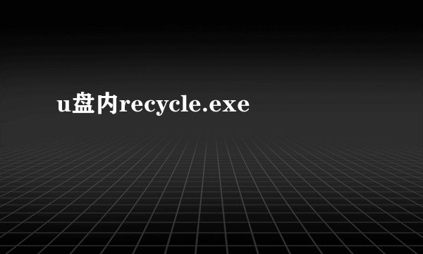 u盘内recycle.exe
