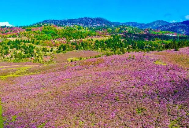 5月旅游适合去哪里 5月份国内旅游最佳地方