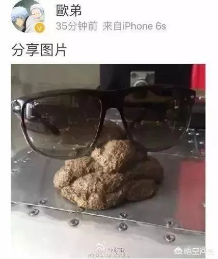 《野生厨房》中汪涵表现耐人寻味,有人说汪涵为何不搭理欧弟?