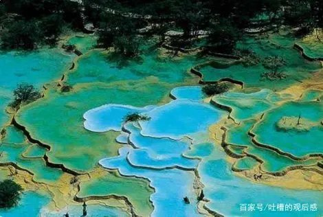 绵阳通报4天参团游未见九寨沟大门,涉事酒店最终得到了什么处罚?