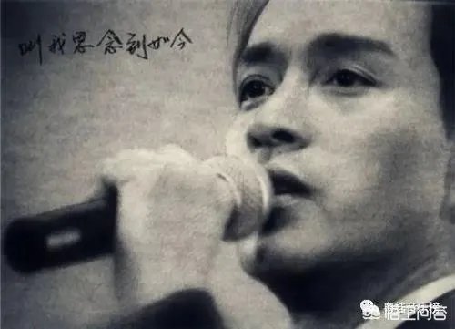 刘德华和张国荣哪个更厉害？