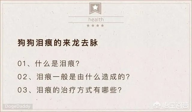 狗狗泪痕怎么解决?