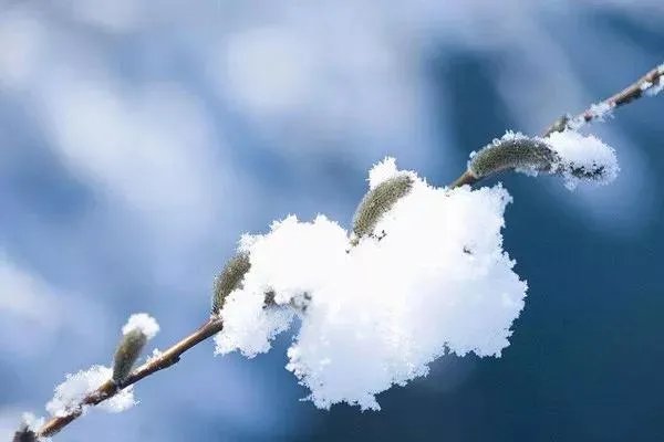 黑龙江漠河5月飞雪，你知道是受了什么影响吗？