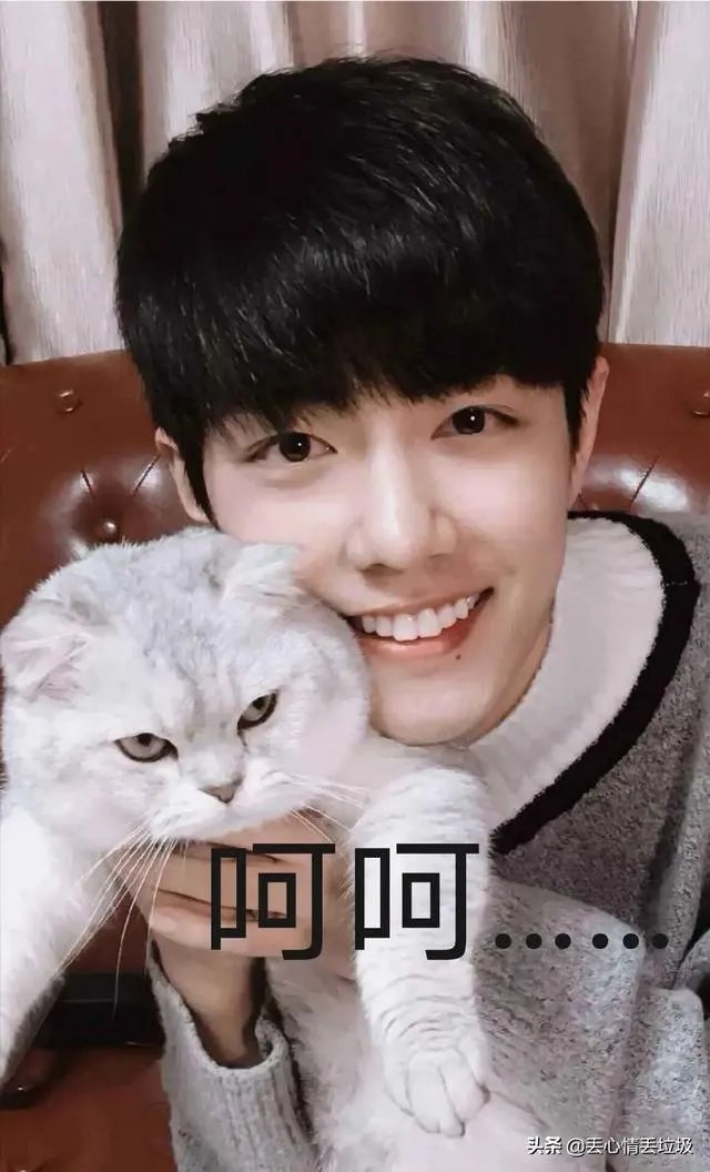 对肖战的新歌《光点》,你怎么评价?