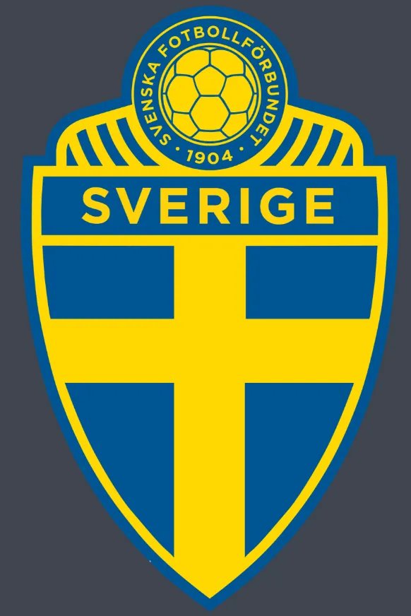 瑞典打进韩国球门的是谁？