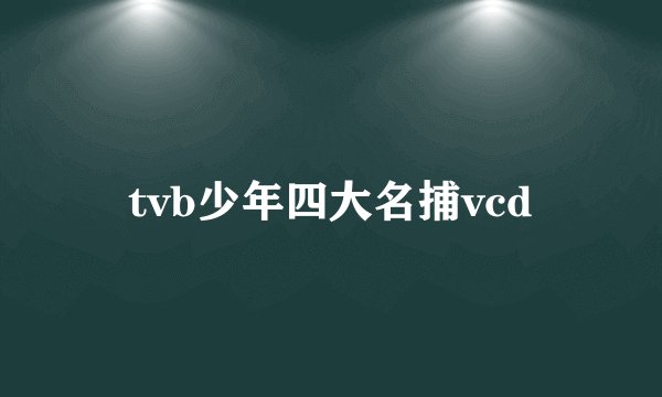 tvb少年四大名捕vcd