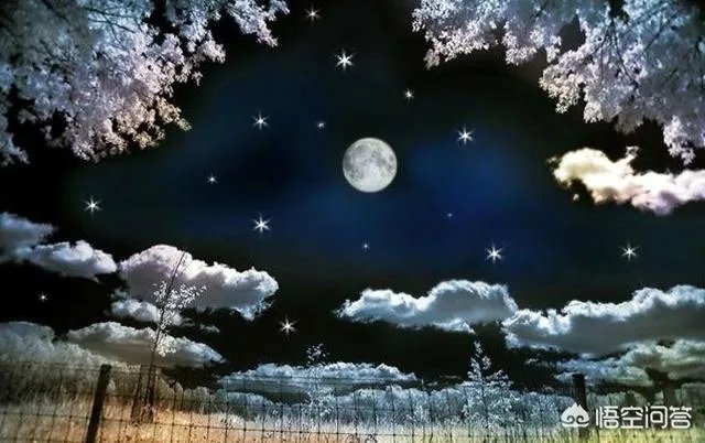 制作GIF动图,哪些软件简单易操作?