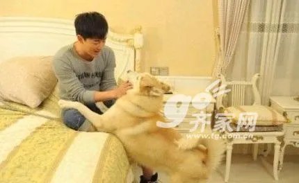 《白蛇传说》酷许仙 万人迷林峰千万豪宅曝光