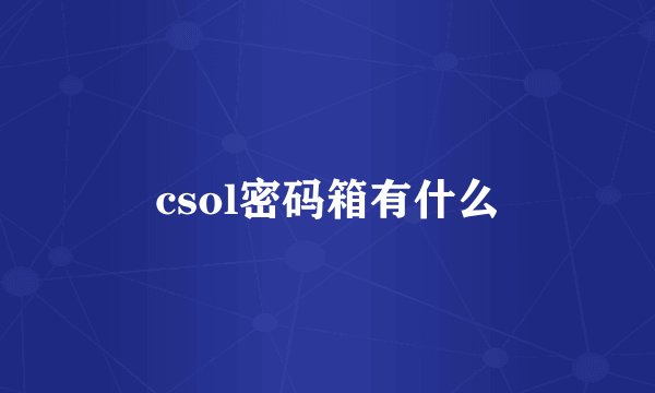 csol密码箱有什么