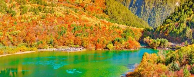 关于九寨沟的资料 九寨沟的详细介绍