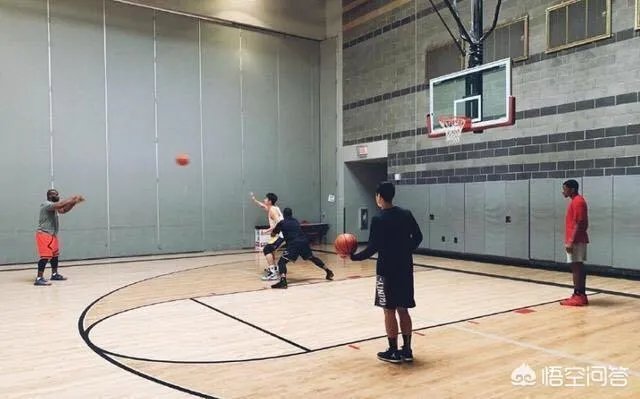 租场馆，聘用四名外教，高价请纳什特训，如此努力训练的孙悦能重回巅峰吗？