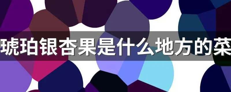 琥珀银杏果是什么地方的菜 银杏果简介