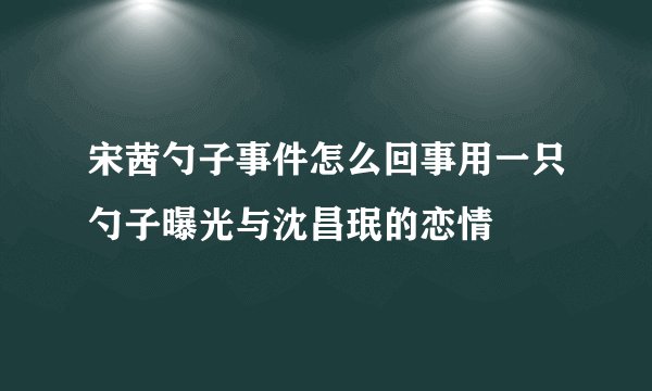 宋茜勺子事件怎么回事用一只勺子曝光与沈昌珉的恋情