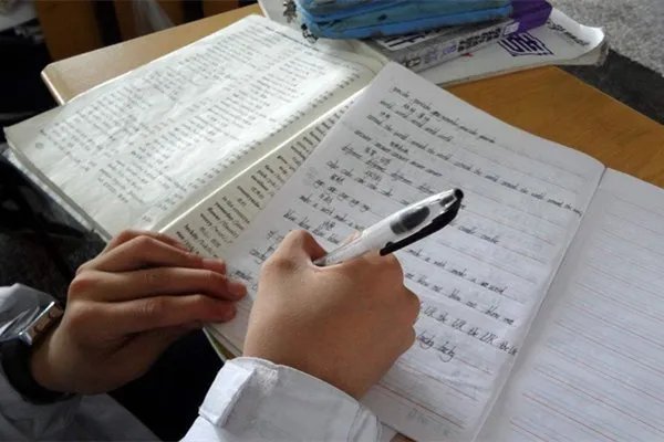 邵志豪建议让学生在校内完成家庭作业，你支持这一建议吗？