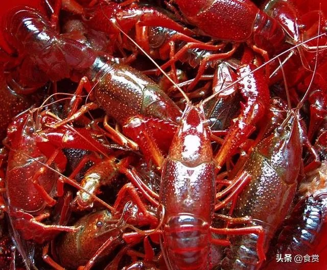 怎样才能吃到最优质的小龙虾？