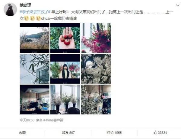 李子柒最新近况，李子柒去哪了？