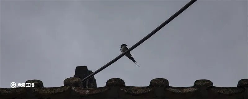 飞入寻常百姓家的上一句