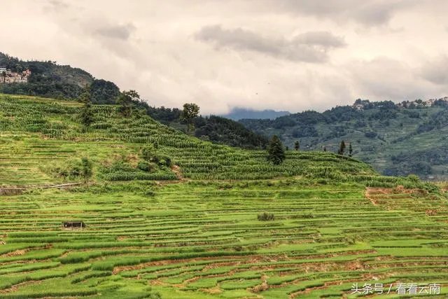 世界上最大的梯田有多少级阶梯?
