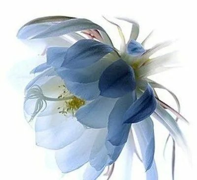 15条关于走弯路的经典语句