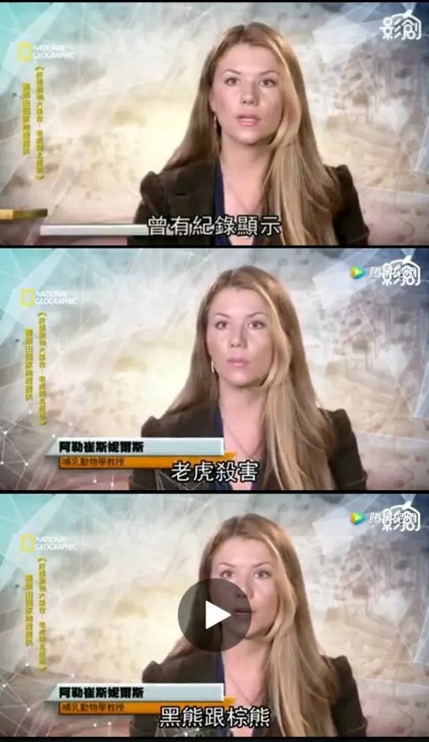 老虎和北极熊，谁更厉害？