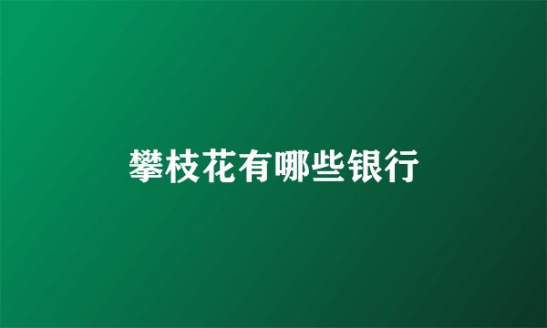 攀枝花有哪些银行