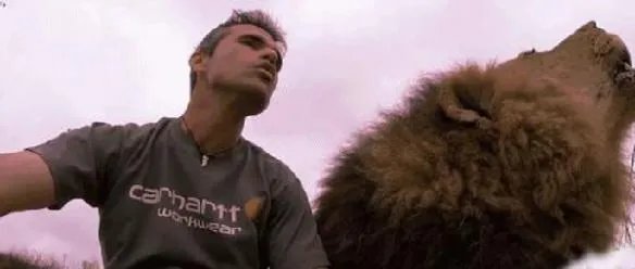 狮语者:花16年与狮子交谈 如今送走自己最爱的狮子王