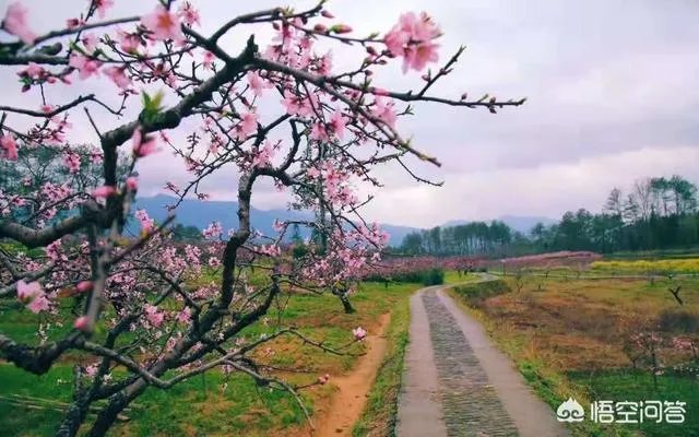 如何打造生态休闲农业园项目?