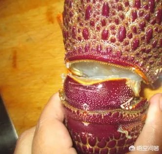 清蒸澳洲龙虾的做法?