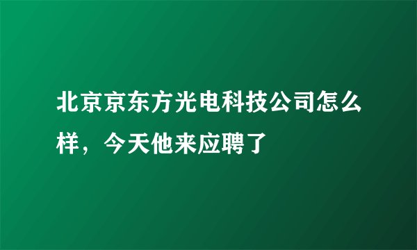 北京京东方光电科技公司怎么样，今天他来应聘了