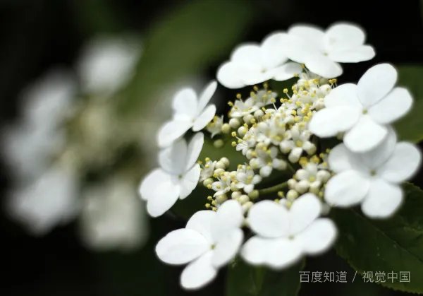 大学生天天在图书馆读书，真的有用吗？不会浪费时间吗?