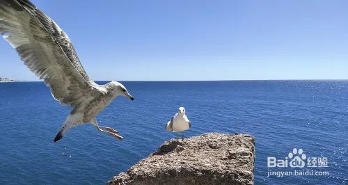 李易峰使用的OPPO R9s清新绿怎么样？