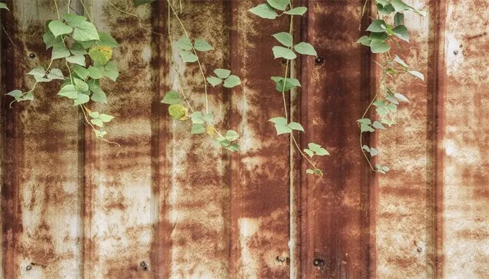 新型外墙保温材料有哪些 新型保温墙体材料有几种