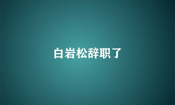 白岩松辞职了