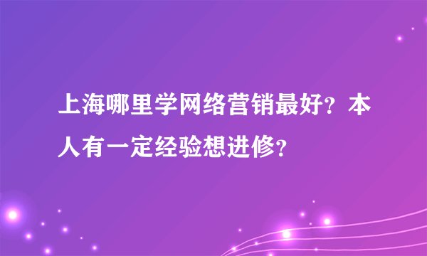 上海哪里学网络营销最好？本人有一定经验想进修？