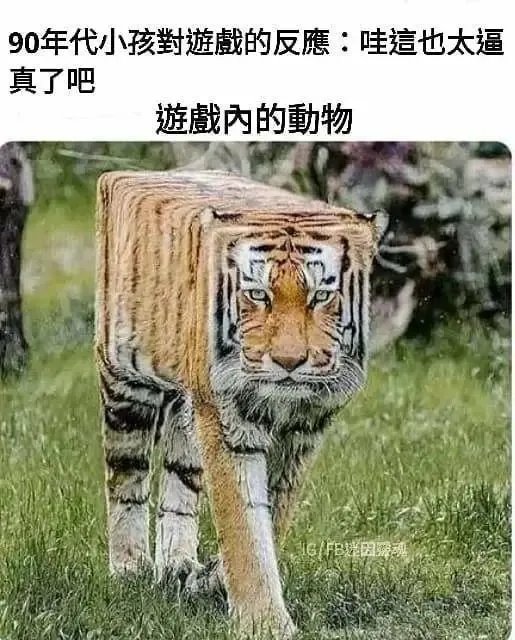 教师节祝盘里各位劳师快乐！猛虎下山的囧图