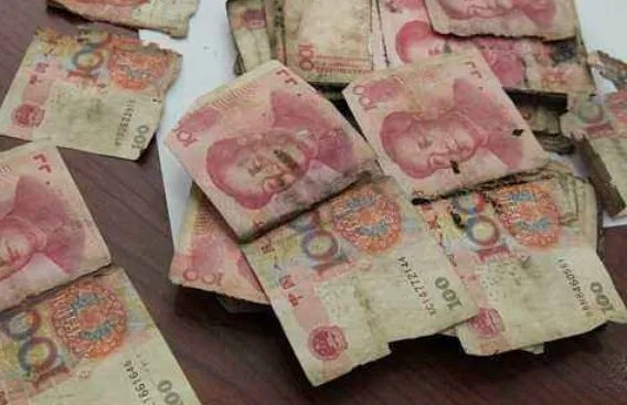 为什么现金不用就会发霉