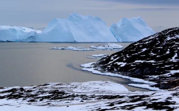 对于“格陵兰岛冰盖融化程度达临界点”，网友作何评价？