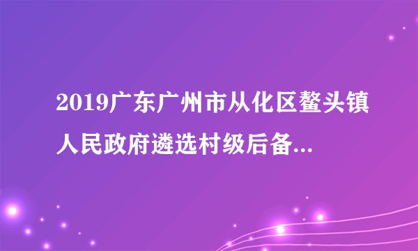 2019广东广州市从化区鳌头镇人民政府遴选村级后备干部面试公告