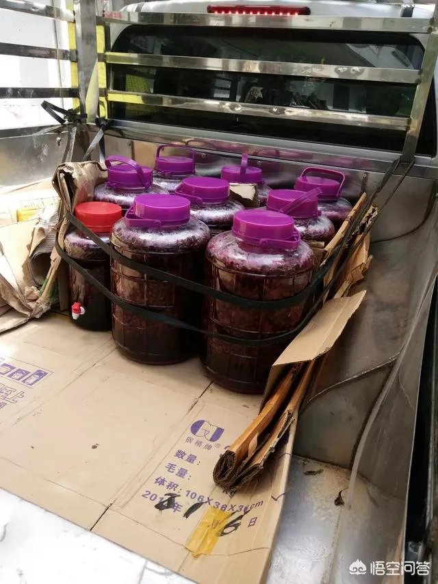 如何打造生态休闲农业园项目?