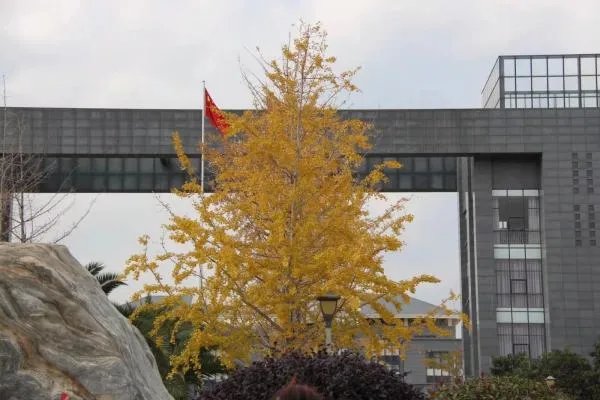 为什么有的大学生觉得疫情偷走了青春？