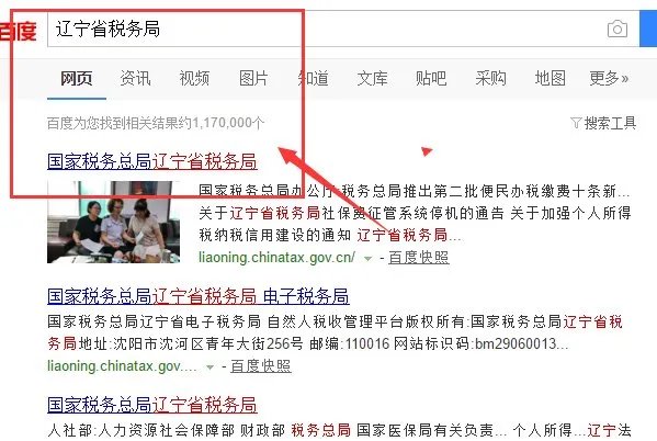 辽宁省国税发票查询