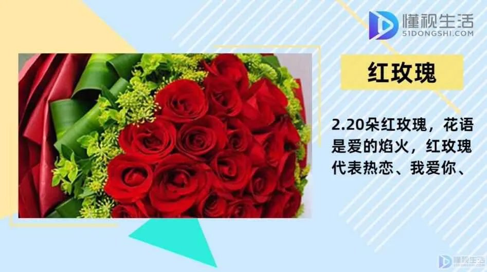 20朵玫瑰代表什么花语