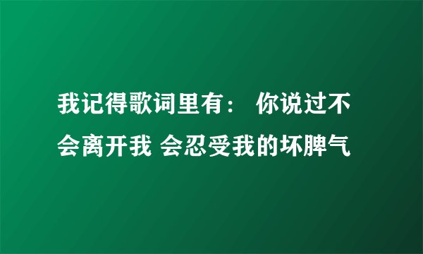 我记得歌词里有： 你说过不会离开我 会忍受我的坏脾气