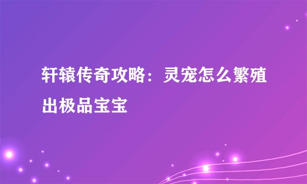 轩辕传奇攻略：灵宠怎么繁殖出极品宝宝