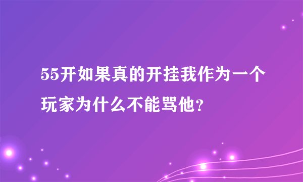 55开如果真的开挂我作为一个玩家为什么不能骂他？