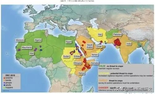 非洲蝗虫成灾，已影响印度和巴基斯坦，会传入中国吗？