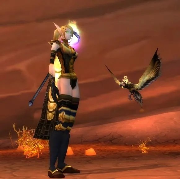 wow好看的布甲幻化 不要长袍系列的