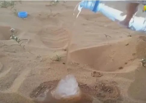 沙漠中倒下水接下来现惊奇一幕(组图)