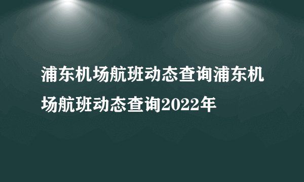浦东机场航班动态查询浦东机场航班动态查询2022年