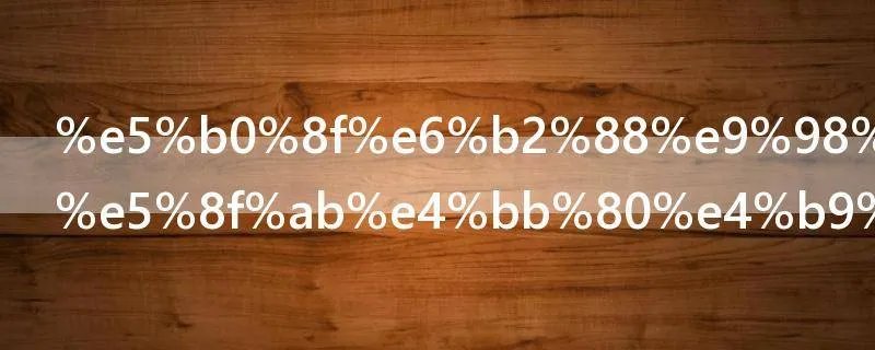 小沈阳真名叫什么